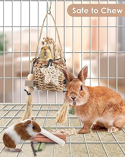 Bissap Bunny Chew Toys, Natural Seagrass Hanging Basket Chews Water Plant Woven Chinchillas Chewing Treats for Rabbits Guinea Pigs Chinchillas Hamsters Rats and Other Small Pets Teeth Grinding Toy - style: Modern