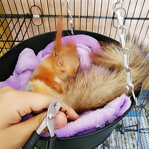 Rabbit Nail Clippers and Trimmers Stainless Steel Pet Claw Grinding Scissors for Small Breeds Cats Guinea Pig Puppy Ferret Hamsters Chinchilla Sugar Glider Grooming Tool Set (Black)
