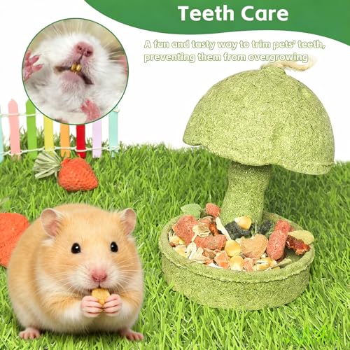 Hamiledyi Guinea Pig Chew Toys Rabbit Chew Toys for Teeth Natural Hamster Treats Prevent Teeth Overgrowth for Syrian Hamsters Gerbils Rat Bunny Chinchilla Small Animals - style: Style B