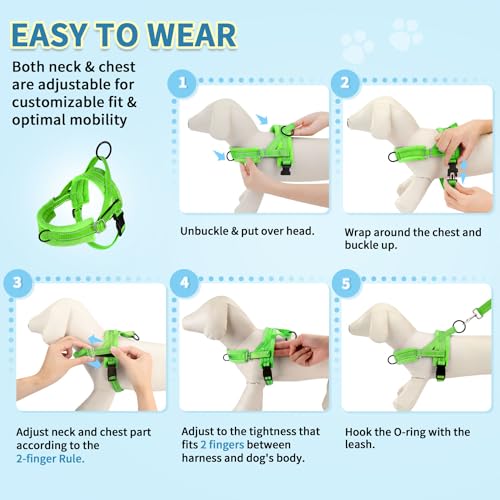 SlowTon No Pull Small Dog Harness and Leash Set with Front Clip | Soft Padded, Neck & Chest Adjustable, Lightweight, Anti-Twist, Puppy Vest Harness Pet Lead Combo for Small Medium Dog, G XS - color: Green, size: X-Small