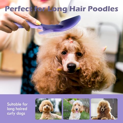 UXIETIN Dog Brush for Poodles,Grooming Brush for Dematting | Detangle Dog Brush for Poodles,German Shepherd Hair,Pitbulls,Yorkies,Labrador Retriever,for Grooming and Bathing
