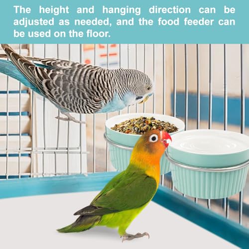 Bird Feeding Cups Parrot Food Cage Bowl Clamp Holder Coop Cup, Ceramic Bird Cage Water Bowl, Pet Feeder Cage for Parakeet African Greys Conure Cockatiels Lovebird Budgie-Blue - color: blue