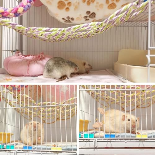 Rat Climbing Activity Bundle - 2pc Hemp Rope Net & Adjustable Wooden Ladder Set - Includes Hanging Bridge and Multi-Level Platforms for Rats Mice Parrots Small Pets Cage Accessories