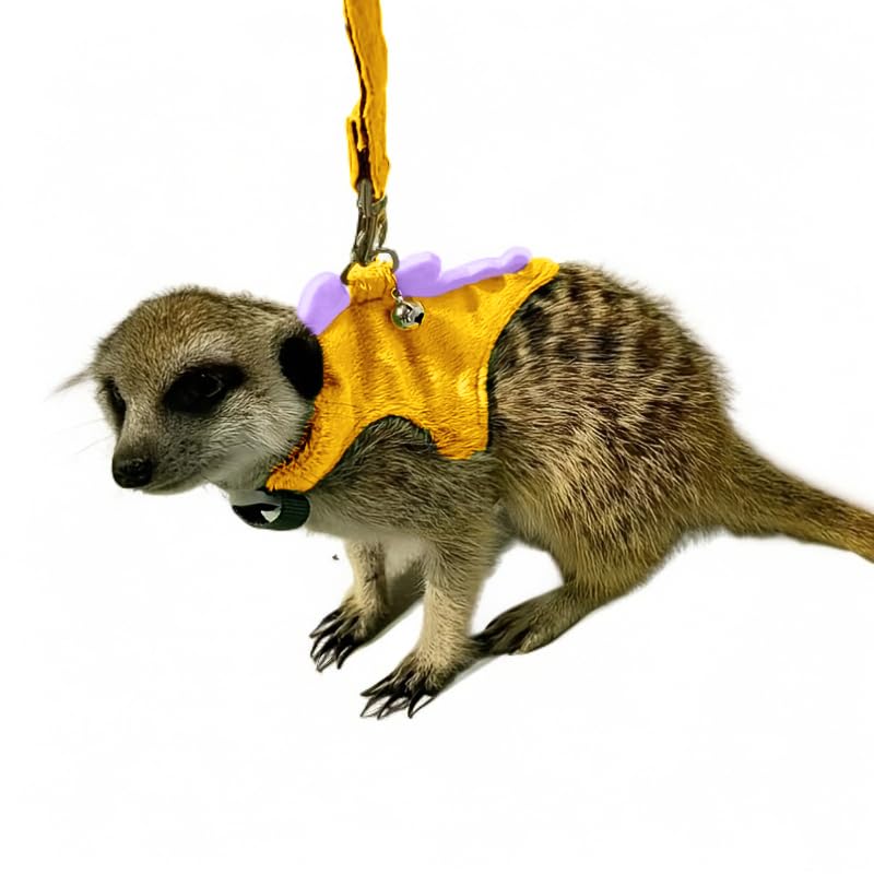 Small Animal Harness and Leash Set, Adjustable Escape Proof Ferret Harness Vest for Adult Ferret, Meerkat, King Squirrel & Fancy Rat, Soft Comfortable Pet Walking Harness with Leash - color: Yellow