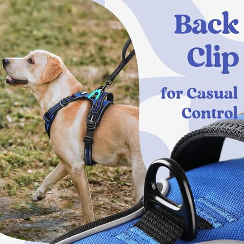 rabbitgoo Dog Harness Small Sized, Updated Easy On & Off with 3 Buckles | No Pull No Choke, Walking with 2 Clips and Handle, Adjustable Soft Reflective, Blue, Small - color: Blue, size: Small