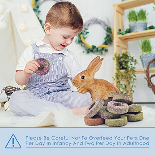Bissap 16PCS Rabbit Chew Toys, 100% Natural Mixed Timothy Hay Cakes Chinchillas Chew Toys and Treat for Bunny Hamster Guinea Pig Gerbil and Other Small Animals Teeth Care