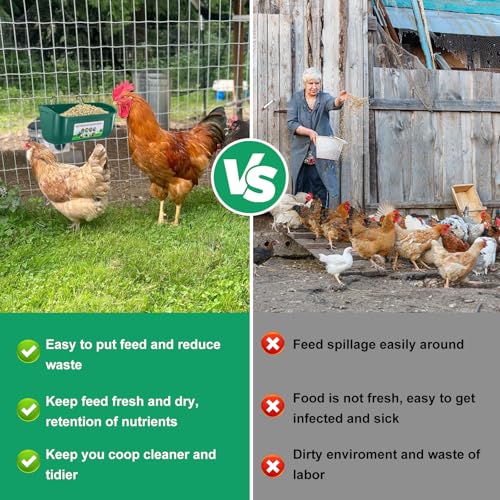 Chicken Feeder Waterer, 3 Pack Duck Feeder Supplies, Hanging Fence Feed Trough with Clips for Goat, Sheeple, Piglet, Gooses, Turkeys, Dog Livestock Poultry,Green - color: 3 pack Green