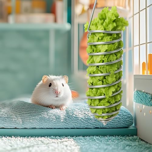 2Pcs Rat Enrichment Toys Bird Food Holder Rat Parrot Foraging Toy | Stainless Steel, Hanging Rodent Toy, Fruit Vegetable Holder, Puzzle Toys, Slow Feeder, Parakeet Foraging