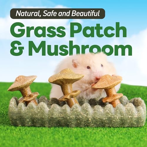 TEEWY Guinea Pig Chew Toys, Prevent Teeth Overgrowth, Natural Timothy Grass & Vegetables, Hamster Chew Toys, Guinea Pig Toys, Chinchilla Toys, 4PCS, Grass Patch & Mushrooms - style: 4PCS-Grass Patch & Mushrooms