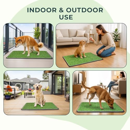 BurgeonNest Dog Grass Pad with Tray 35"x24", 3-Layer System with EVA Tray | Includes Reusable Artificial Grass, Absorbent Washable Pee Pad, Foldable Tray for Balcony, Apartment & Indoor/Outdoor Use - size: L-35''x24''