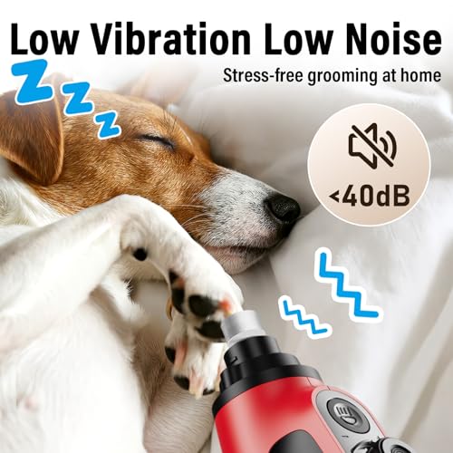 Casfuy Smart 6-Speed Dog Nail Grinder - 50% More Power Pet Nail Grinder with 2 LED Lights Quiet Rechargeable Electric Dog Nail Trimmers File Toenail Grinder for Large Medium Small Dogs & Cats (Red) - color: Red