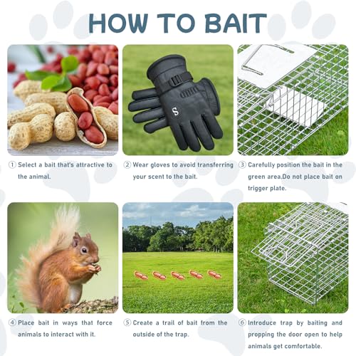 Animal Trap 26"x10"x9" Cage Trap,Heavy Duty Folding Raccoon Traps | Live Animal Cage Trap,Humane Catch and Release Stray Cats,Squirrels,Rabbits