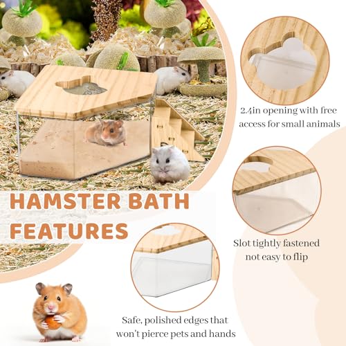Hamster Sand Bath Box Container, Hamster Bath Sand Gerbil Sand Bath Hamster Dust Bath, Hamster Litter Box Chinchilla Dust Bath Hamster Accessories(Pentagon+Ladder) (Pentagon+Ladder) - size: M