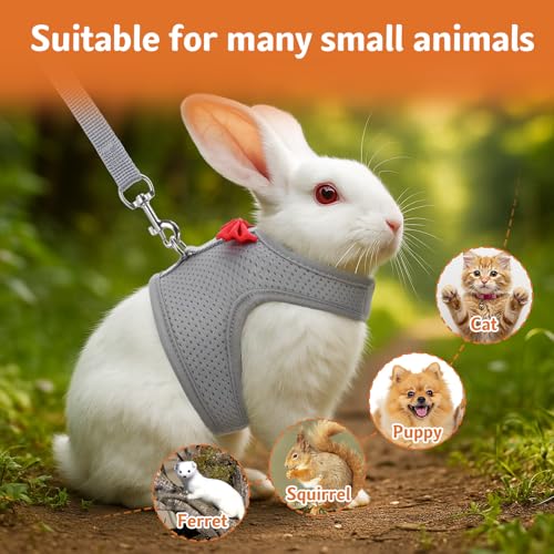 Bunny Harness and Leash Set, Soft Breathable Mesh Rabbit Leash Vest with Safety Buckles, Lightweight Escape-Proof Walking Gear for Rabbits, Kittens, Ferrets, Guinea Pigs, Grey M - color: Grey