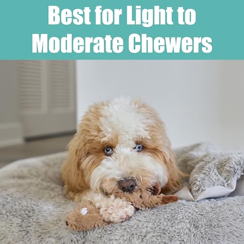 SPOT Skinneeez Beaver Dog Toy – 14" Stuffing-Free Plush Squeaky Dog Toy, Durable Interactive Toy for Small & Medium Dogs, Light to Moderate Chewers, Mess-Free Play - style: Mini Beaver