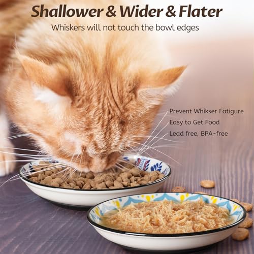 WROSWT Non-Slip Cat Bowl,Ceramic Cat Food Bowls with Silicone Bottom, Anti-Whisker Fatigue Cats Dishes Set, Shallow & Wide Kitten Plates for Food and Water, 4 Pack - size: Bohemian-4 Pack