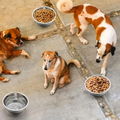 Teenyyou 8 Pcs Hammered Stainless Steel Dog Bowls 8 Cup/64 oz, 8.5 Dia Metal Pet Food and Water Bowls Bulk Thickened Durable Replacement Dish for Small Medium Large Dog (Silver) - size: 8 Cup/64 Oz, 8.5 Dia