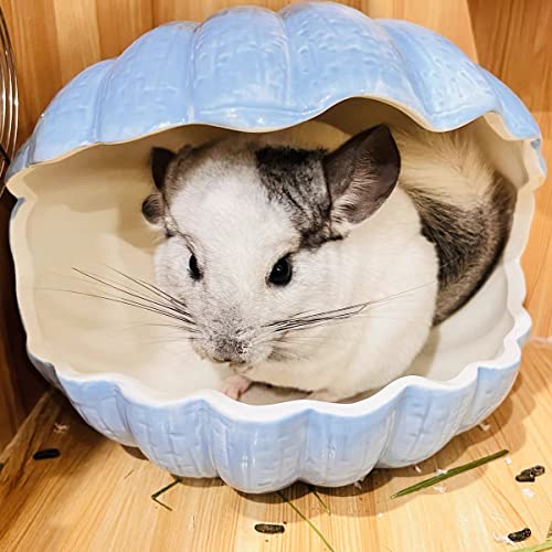 Small Animal Hideout Extra Large Ceramic Shell Shape Guinea Pig House Chinchilla Igloo Habitat Hut Cave Summer Bed Cage Accessories for Hedgehog Rabbit Hamster Gerbil Rat (XL (9.5''x7''x7.9''), Blue) - color: Blue