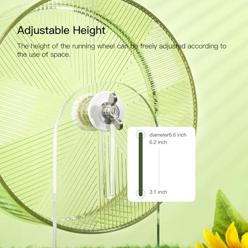 Super-Silent Hamster Exercise Wheel: Silent Spin Toys Hamster Running Wheels with Height Adjustable Stand for Hamsters Gerbils Mice Or Other Small Animals -6.5inch Green - color: Green, size: 6.5inch