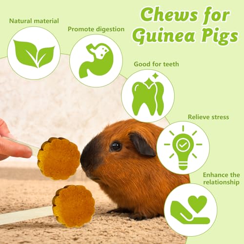 Hamiledyi Bunny Chew Toys for Teeth Natural Rabbit Lollipop Chewing Sticks Hamster Pumpkin Molar Toy Chews and Snacks for Guinea Pig Chinchilla Gerbil (Pumpkin,10Pcs)