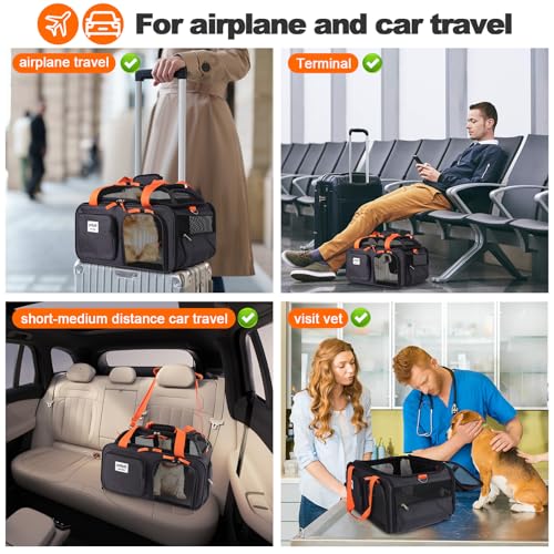 pidipiti 19x13x9 top Expandable pet Carrier, for Small Dog/cat up to 10 lbs | TSA Approved,with 2 pockets,zipper lock,leakproof,good Visibility,for Southwest Lufthansa Airlines,Air Canada,Amtrak Train - size: 19.0"L x 13.0"W x 9.0"H
