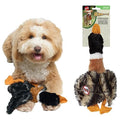 SPOT Skinneeez Mini Mallard Duck 13 Inch Stuffing-Free Plush Squeaky Dog Toy – Soft Interactive Toy for Small and Medium Dogs – Mess-Free Play for Light & Moderate Chewers – Assorted Styles - style: Mini Mallard Duck