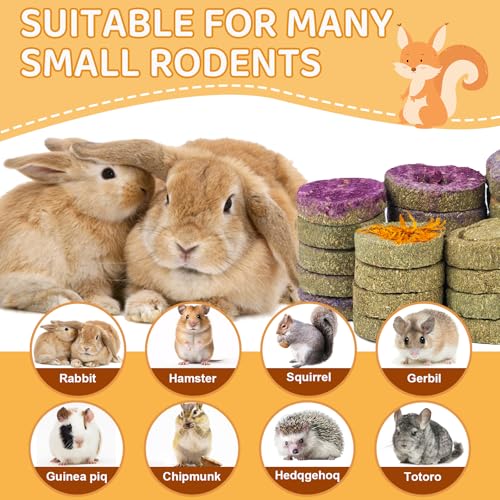 30PCS Guinea Pig Hay Grass Cake Food Set Natural Rabbit Chew Toys for Teeth | Hamster Toys, Bunny Chew Toys Timothy Hay Treats for Rabbits Chinchillas Rats, Small Animals Teeth Grinding - size: 30Pack-grass cake