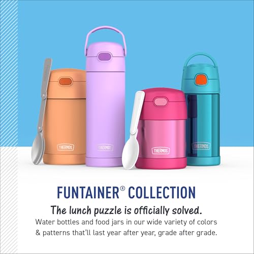 THERMOS FUNTAINER Water Bottle with Straw - 12 Ounce - Kids Stainless Steel Vacuum Insulated Water Bottle with Lid, Masters of the Universe - color: Masters of the Universe, size: 12 Ounces