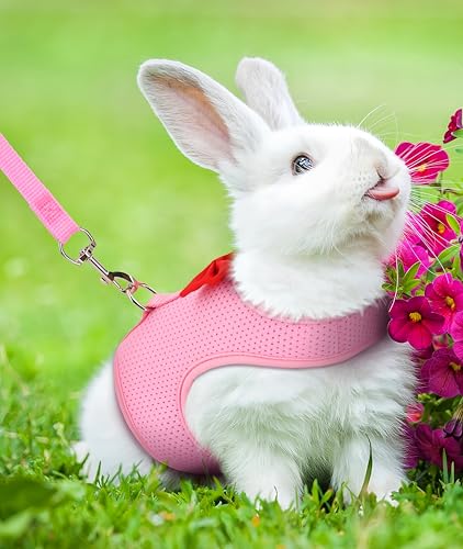 2 Pack Adjustable Bunny Rabbit Harness and Leash Set Breathable Mesh Vest Harness for Rabbits Kitten Ferret Puppy Small Pets Walking Supplies-Grey&Pink,L
