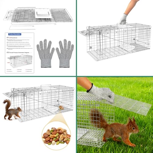 Humane Live Animal Trap Cage 26" × 9" × 10",Heavy-Duty Live Catch Cage for Raccoon, Squirrel, Stray Cats, Groundhogs, Armadillos, Opossums, Rabbits, Skunk, Mole, Small Wildlife Control - size: 26"×9"×10"