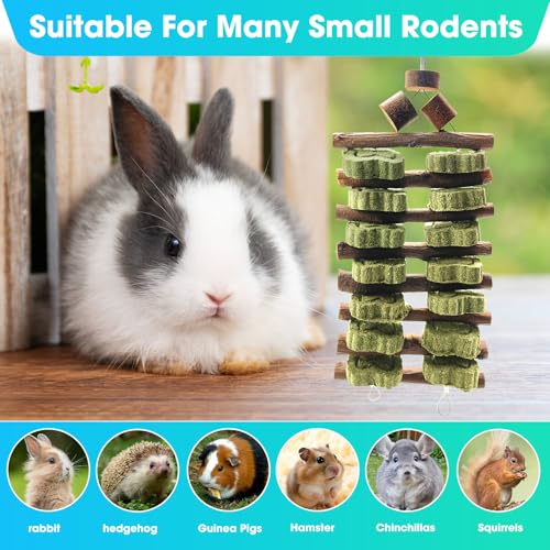 WDEFUN Natural Apple Wood Clover Cake Teeth Grinding Toy String - Rabbit Snack Chewing Toy, Safe and Durable Pet Teeth Grinding Rod, Caring for Dental Health - size: 2 Pcs Large Grinding Toy String