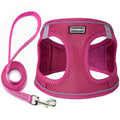 Dog Harness with Leash Set, Step-in Adjustable Puppy Vest, Rose Red XXS | Lightweight Breathable Air Mesh, Night Safety Reflective, No Pull Puppy Vest Harnesses for Small Medium Large Dogs, Cats - color: Rose Red, size: XXS(Chest:10"-12")