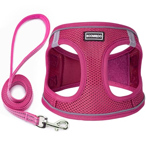 Dog Harness with Leash Set, Step-in Adjustable Puppy Vest, Rose Red XXS | Lightweight Breathable Air Mesh, Night Safety Reflective, No Pull Puppy Vest Harnesses for Small Medium Large Dogs, Cats - color: Rose Red, size: XXS(Chest:10"-12")