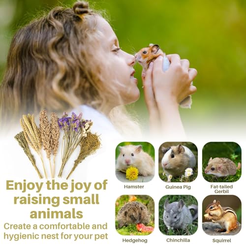 Sukh Natural Hamster Bedding Sprays - Foraging Cage Accessories | Habitat Decor & Enrichment for Dwarf and Syrian Hamsters, Gerbils, Mice and Small Animals Cage Hideout Accessories