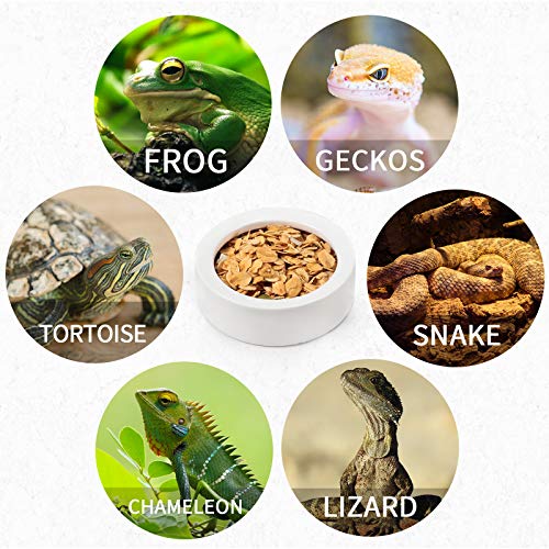 4 Pcs Reptile Bowl Food Dish Reptile Water Food Feeding Dish Ceramic Worm Pet Bowl Anti Escape Feeder for Lizard Anoles Chameleon Bearded Dragon Hermit Crab(2.71 Inch) - size: 2.71 Inch