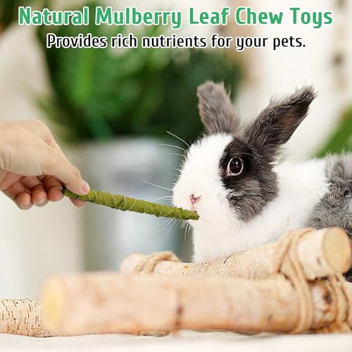 Fhiny Rabbit Chew Toys, 100g Natural Mulberry Leaf Crispy Rolls Small Animal Molar Snacks Chinchilla Sticks Guinea Pig Chews for Teeth Dental Care for Bunny Guinea Pig Chinchilla Hamster Gerbil