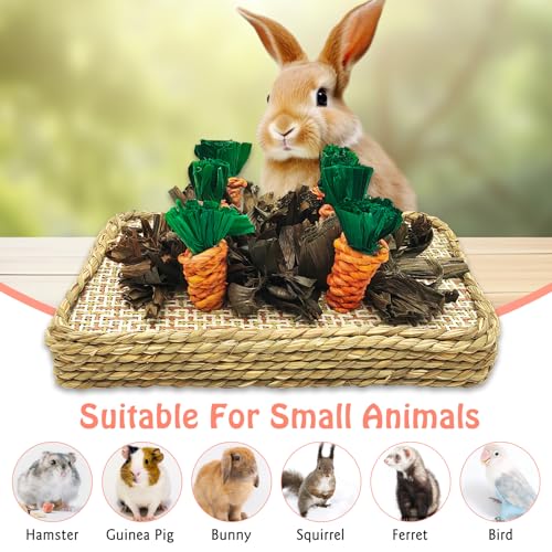 Hamiledyi Pet Fun Bunny Chew Toy Rattan Grass Scratcher Rabbit Enrichment Climbing Play Carrot Digging Toys for Bunnies Rabbits Guinea Pigs Parrots Ferret Hedgehog Squirrel and Other Rodents