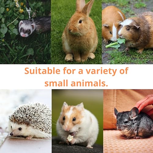 Ferret Treat Ball Interactive Toy Balls for Small Animal, Enrichment Toys Ferrets Dry Food Ball for Ferrets Guinea Pig Rat Chinchilla Hedgehog Bunny, Pet Ferret Accessories (S, Spiral) - size: S