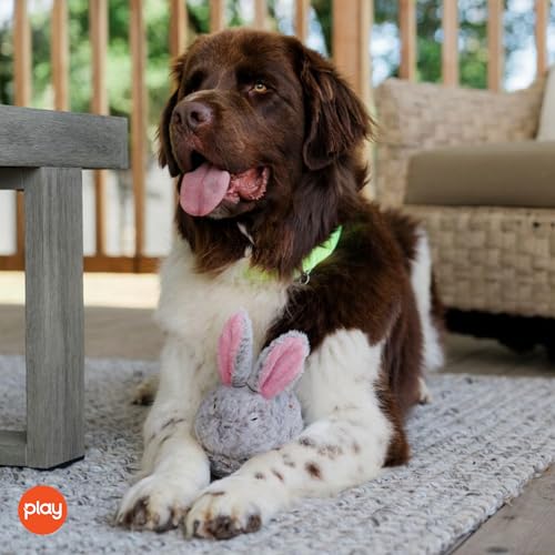 P.L.A.Y. Cute Plush Dog Toys - Forest Friends Critter Themed Durable Squeaker Crinkle Chew Toy, Great for Puppies & Small, Medium, Large Dogs - Machine Washable, Recycled Materials (Bunny) - style: Baxter the Bunny