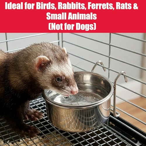SPOT Stainless Steel Mini Coop Cup with Wire Hooks – 10 oz Small Pet Food & Water Bowl, Rust-Resistant & Easy to Clean, Attaches to Cages for Birds, Parrots, Rabbits, Ferrets, Rats & Small Pets