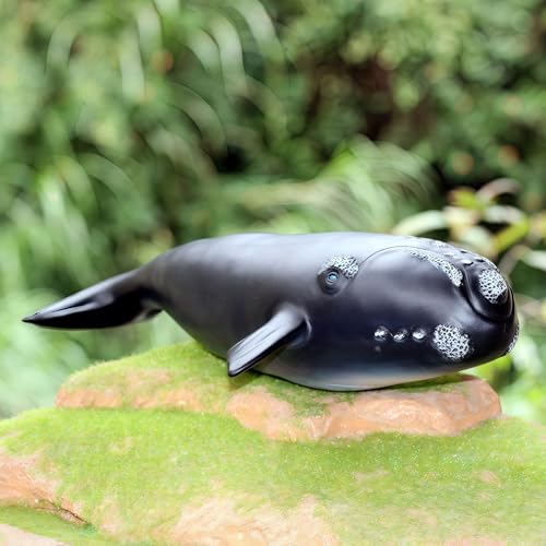 Gemini&Genius Right Whale Action Figure, Shark Animal Ocean Blackfish, Soft Rubber Ocean Whale Shark, Great for Kids Bath Swimming Beach and Cake Toppers Toys - color: Right Whale