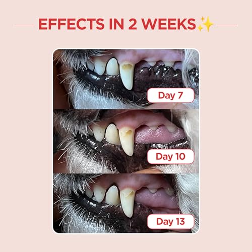 JAYU PET Dental Care Brush (Edge Bristles) 1ea - Micro Round Head Dog Toothbrush, Cat Toothbrush, Dental Care, Perfect for Kitten & Small Breed with End-tuft Diagonal-Shaped Bristle & Easy Grip Handle - color: Edge Bristles, size: 1 Count (Pack of 1)