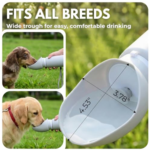 BICYSTAR Collapsible Water Bottle for Dogs, Foldable Leak-Resistant w/Drain-Back, Pet Travel Bowl, 18.6oz for Walks, Hiking & Road Trips