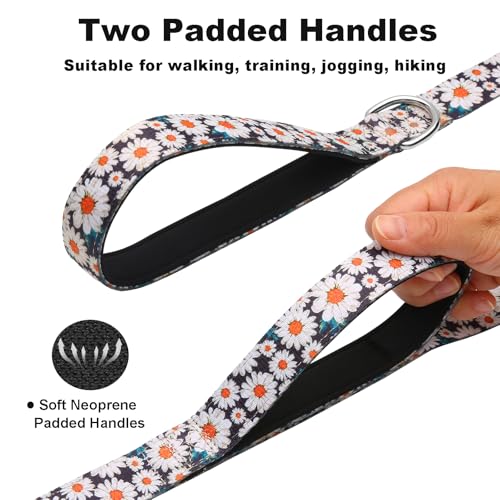 4ft Dog Leash with Two Padded Handles, Heavy Duty Strong Nylon Pet Leash with Soft Neoprene Handle for Small Medium Large Dogs, Daisy - color: Daisy, size: 1 in x 4 ft