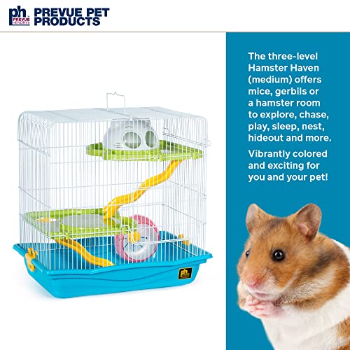 Prevue Pet Products Hamster Medium Haven - Multi-Level Small Animal Cage with Platforms, Ramps, Hideaway & Exercise Wheel, Indoor Habitat for Hamsters, Gerbils & Mice - Blue