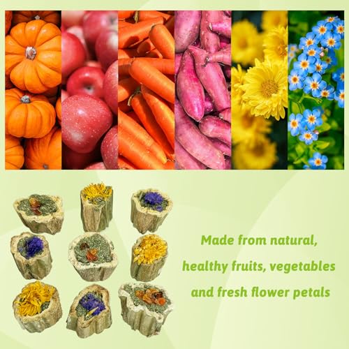 BNOSDM Hamster Chew Treats Chinchilla Natural Fruit & Vegetable Petal Mix Snacks Rabbit Papaya Toys for Teeth for Guinea Pigs Syrian Dwarf Hamsters Gerbils Mice, (3.5oz/100g),1PCS - color: Mixed - 1 Pack