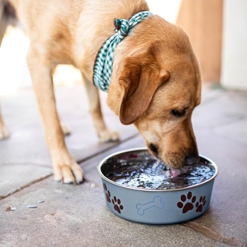 Loving Pets Bella Dog Bowls- Stainless Steel Dog & Cat Bowls - Spill Proof Dog Food Bowl, Cat Bowl, Puppy Essentials & Pet Supplies Great for Home & Travel (Large 35-65 lbs, Blueberry) - color: Blueberry, size: Large (35-65lbs)