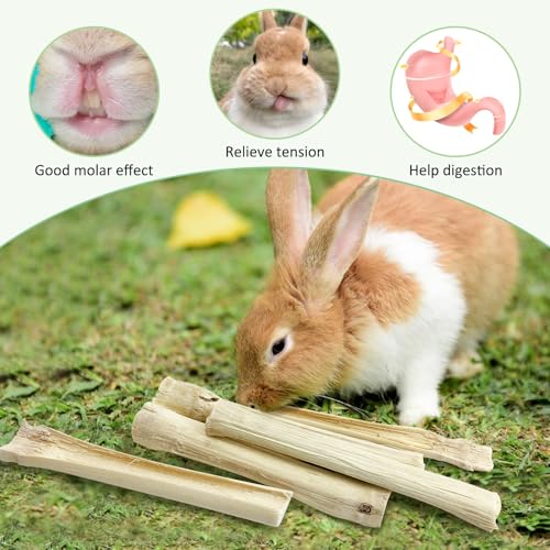 Tfwadmx Small Animal Snacks Sweet Bamboo Molar Treats 200 g Bunny Chew Toys for Chinchilla Rabbit Guinea Pig Hamster Squirrel (About 22-27 Sticks) - size: 0.26 Ounce (Pack of 27)