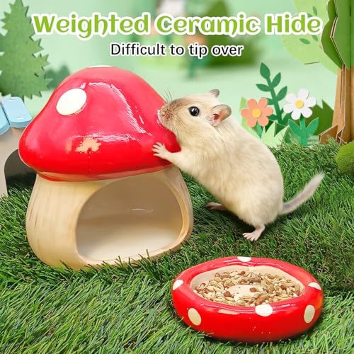 BNOSDM Ceramic Hamster Hideout and Food Bowl Set Cute Mushroom Shape Hamster House and Habitat Cool Hamsters Hide Suitable for Syrian, Mice, Dwarf Hamsters, Gerbils (Red) - color: Red Hideout Duo