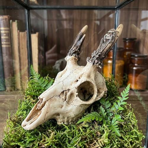 Mini Deer Skull Reptile Hide, Resin Tank Decor for Geckos, Snakes & Spiders | Realistic resin deer skull for terrarium décor; compact cave opening suits spiders, ants, Dubia roaches and other tiny pets.